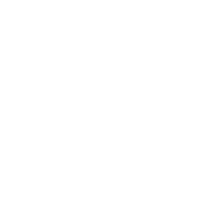 NOODLES_Logo_vertical_WHITE (1)